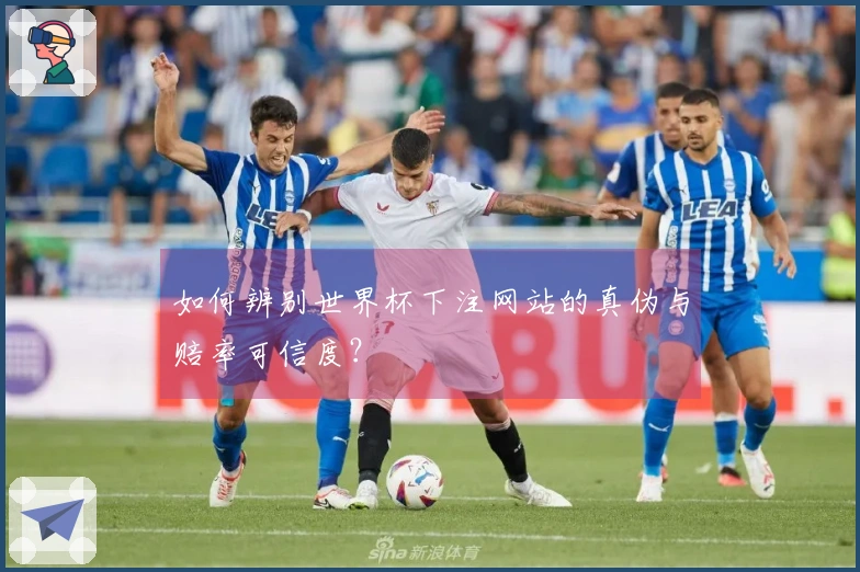 如何辨别世界杯下注网站的真伪与赔率可信度？